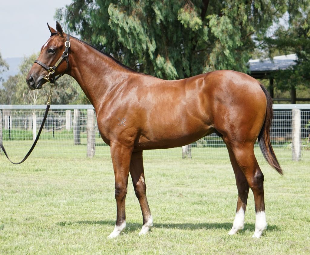 Click to view gallery