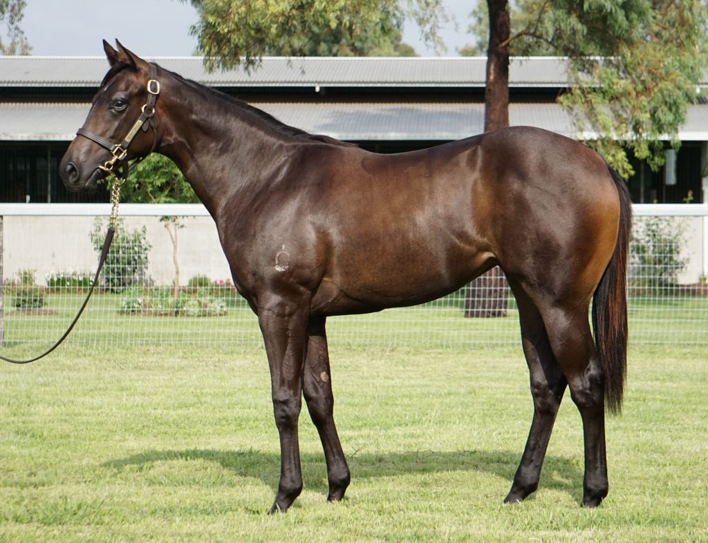 Click to view gallery