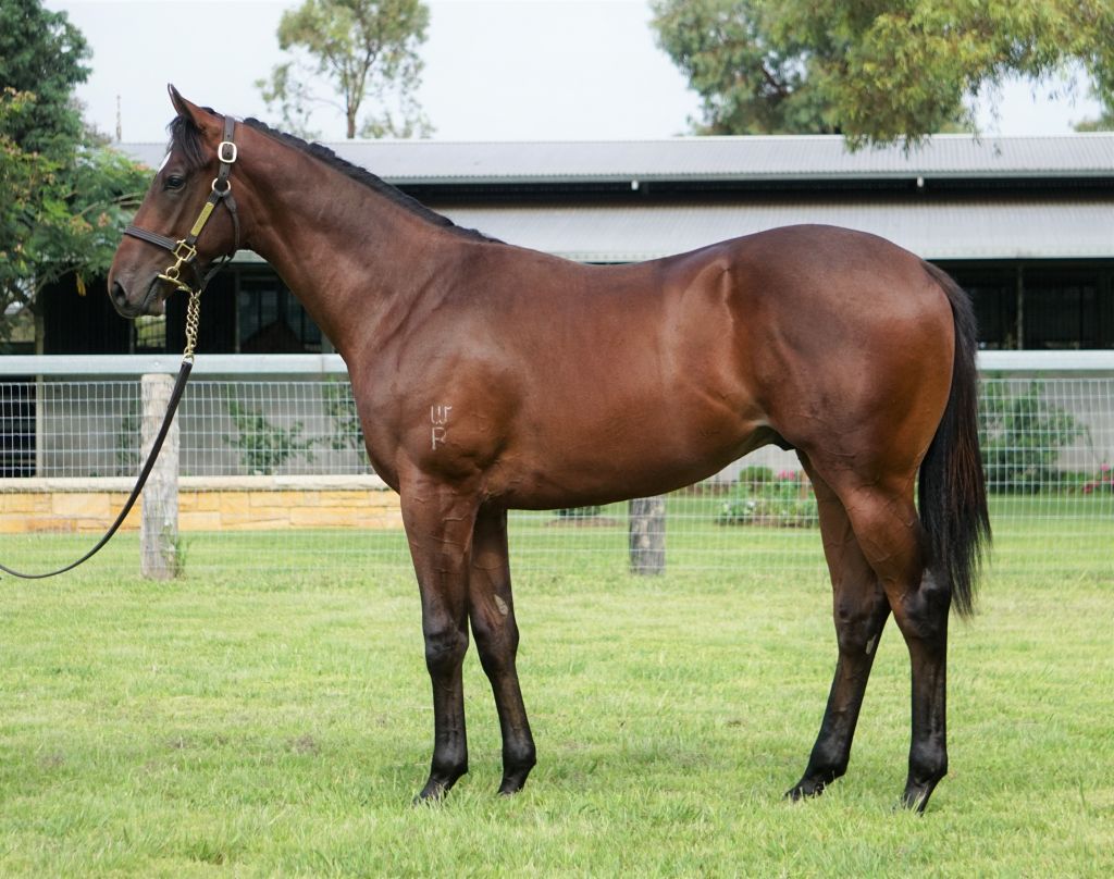 Click to view gallery