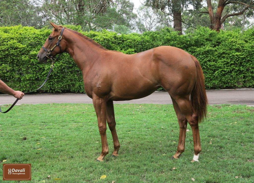 Click to view gallery