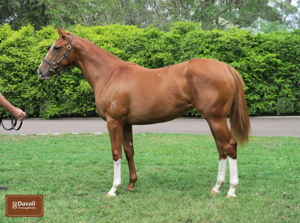 Click to view gallery