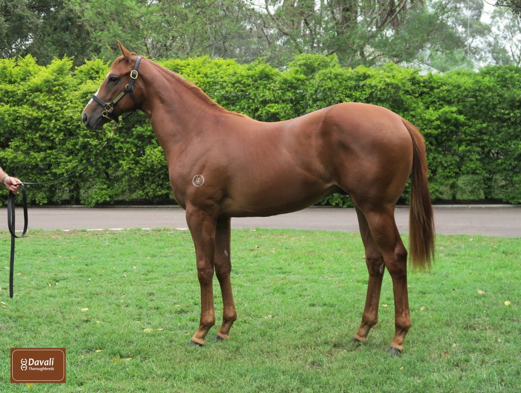 Click to view gallery