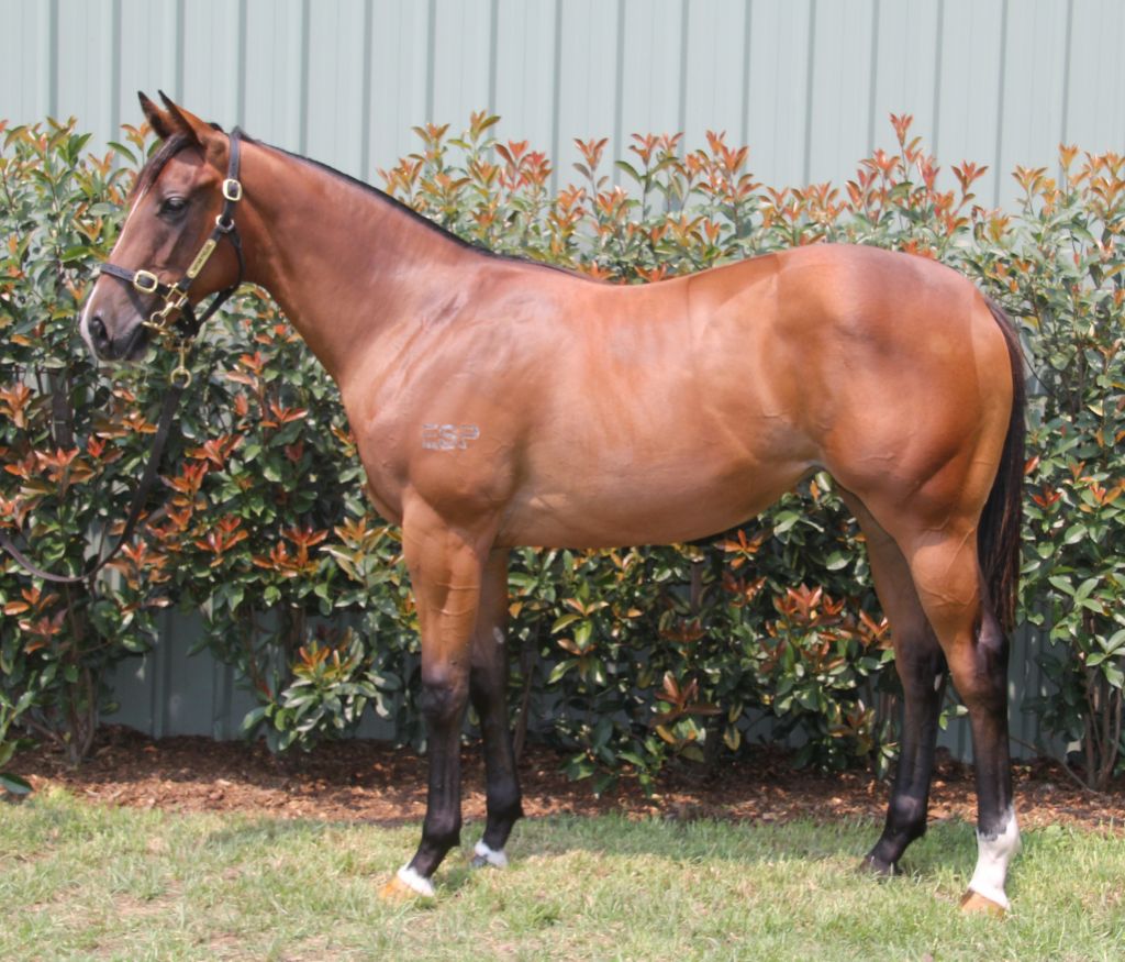 Click to view gallery