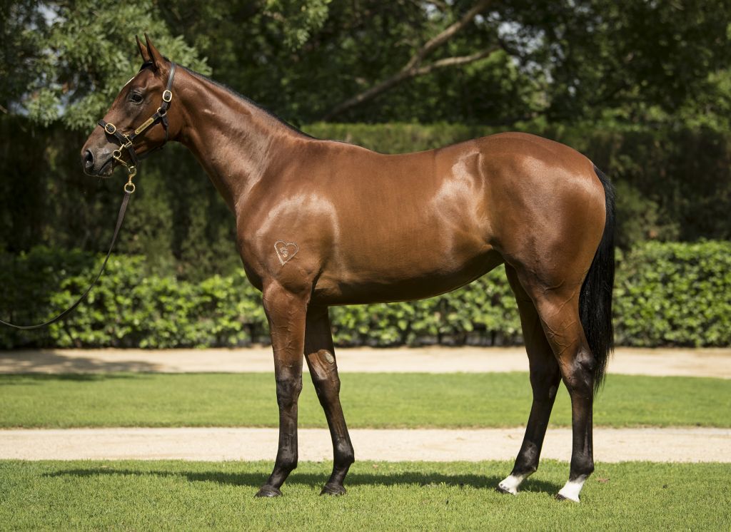 Click to view gallery