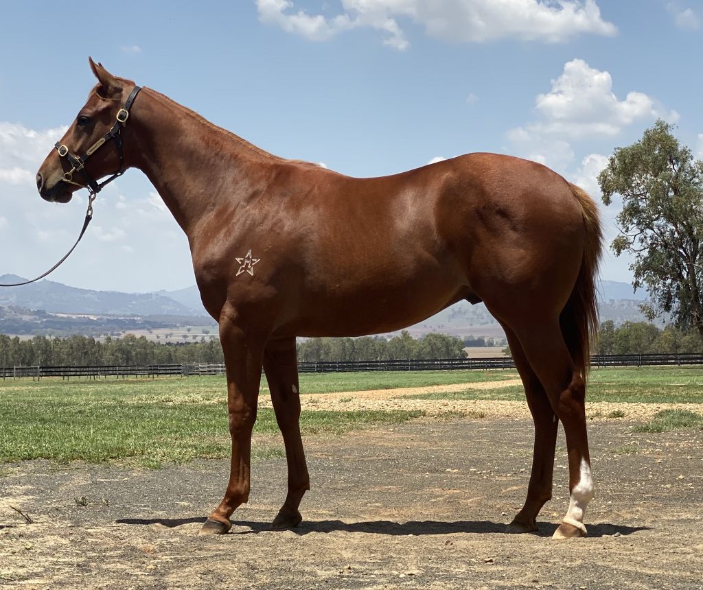 Click to view gallery