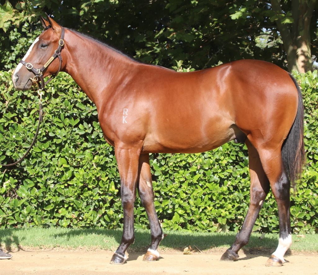 Click to view gallery