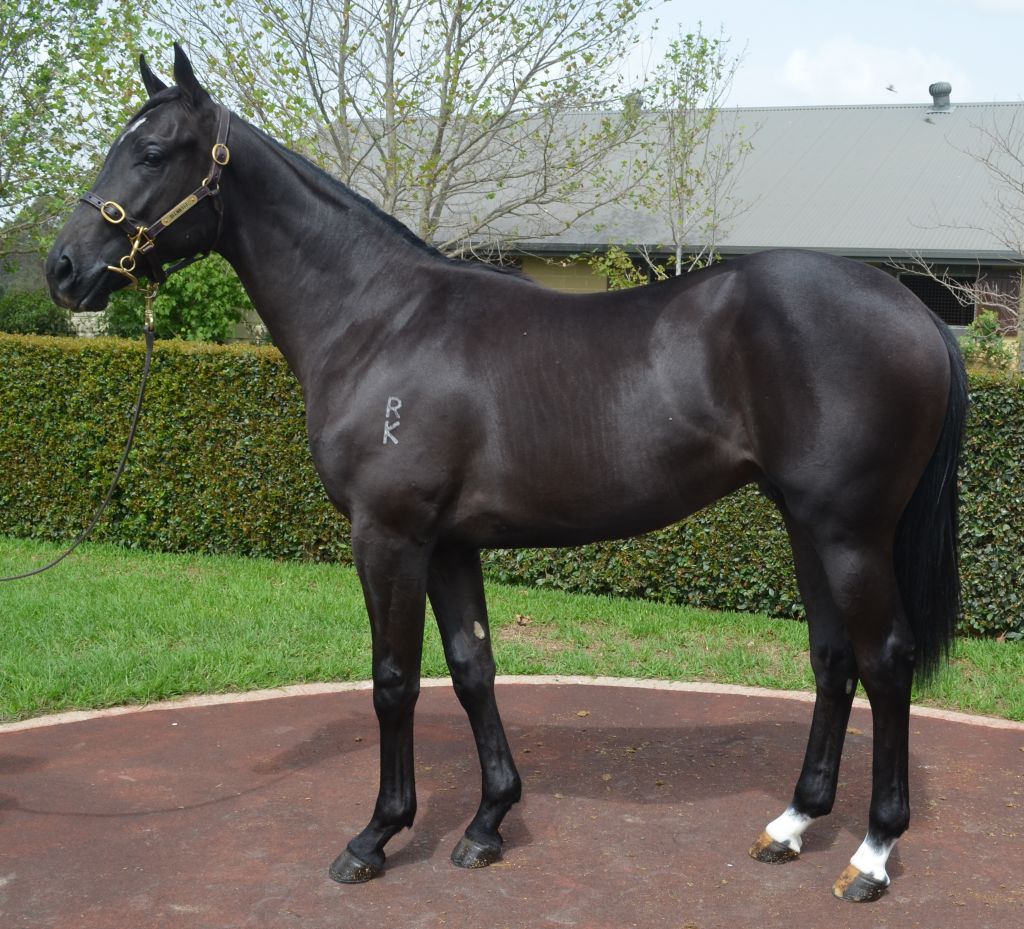 Click to view gallery