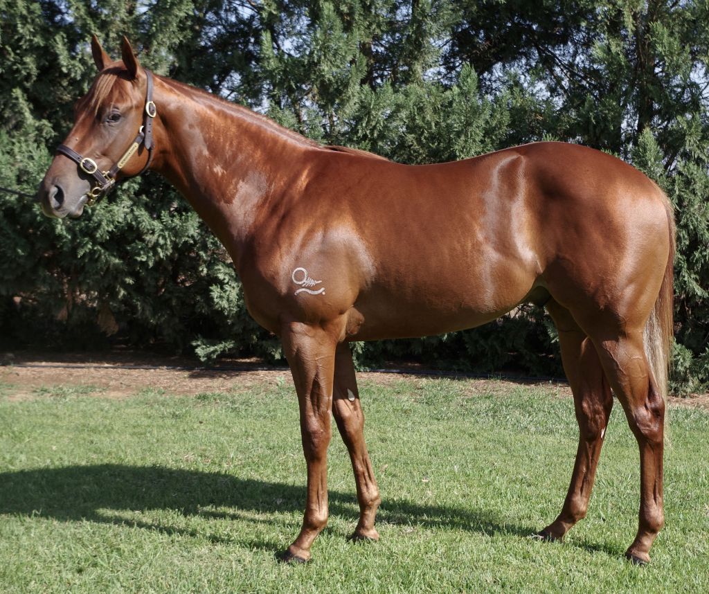 Click to view gallery