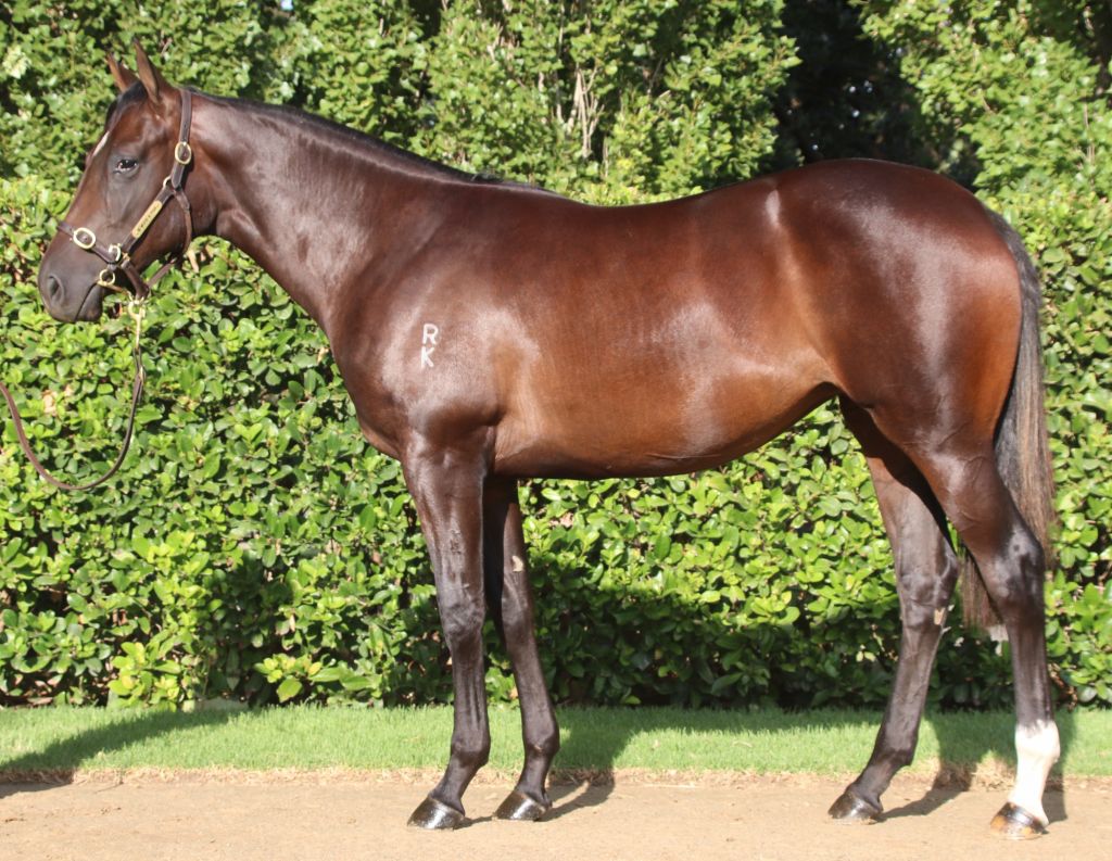 Click to view gallery