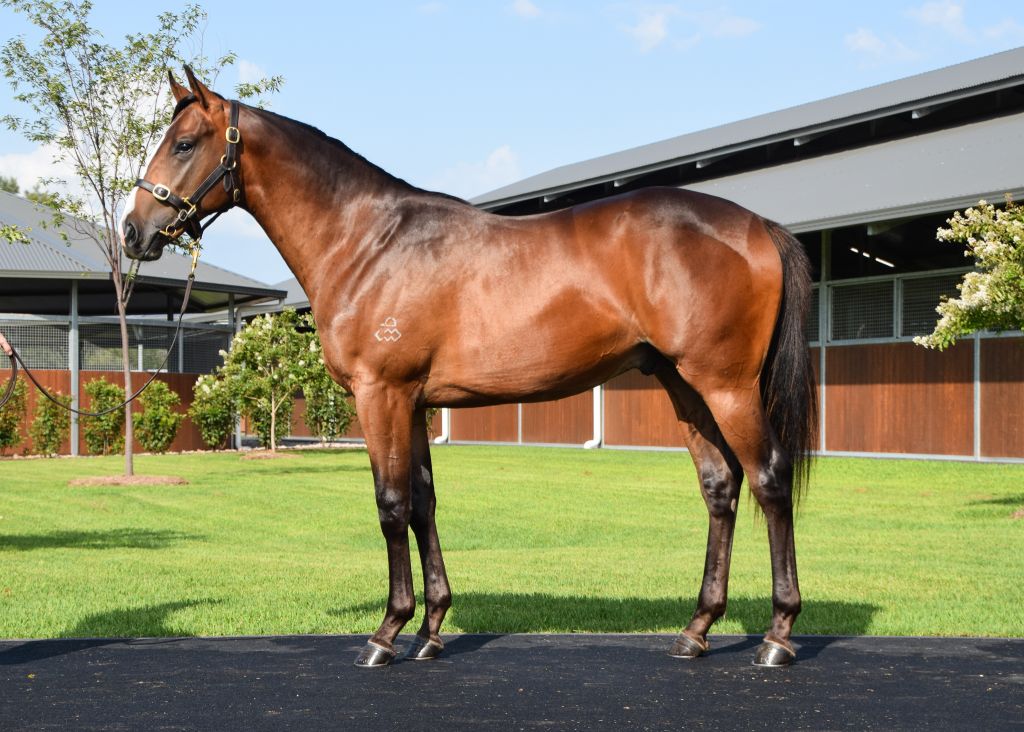 Click to view gallery