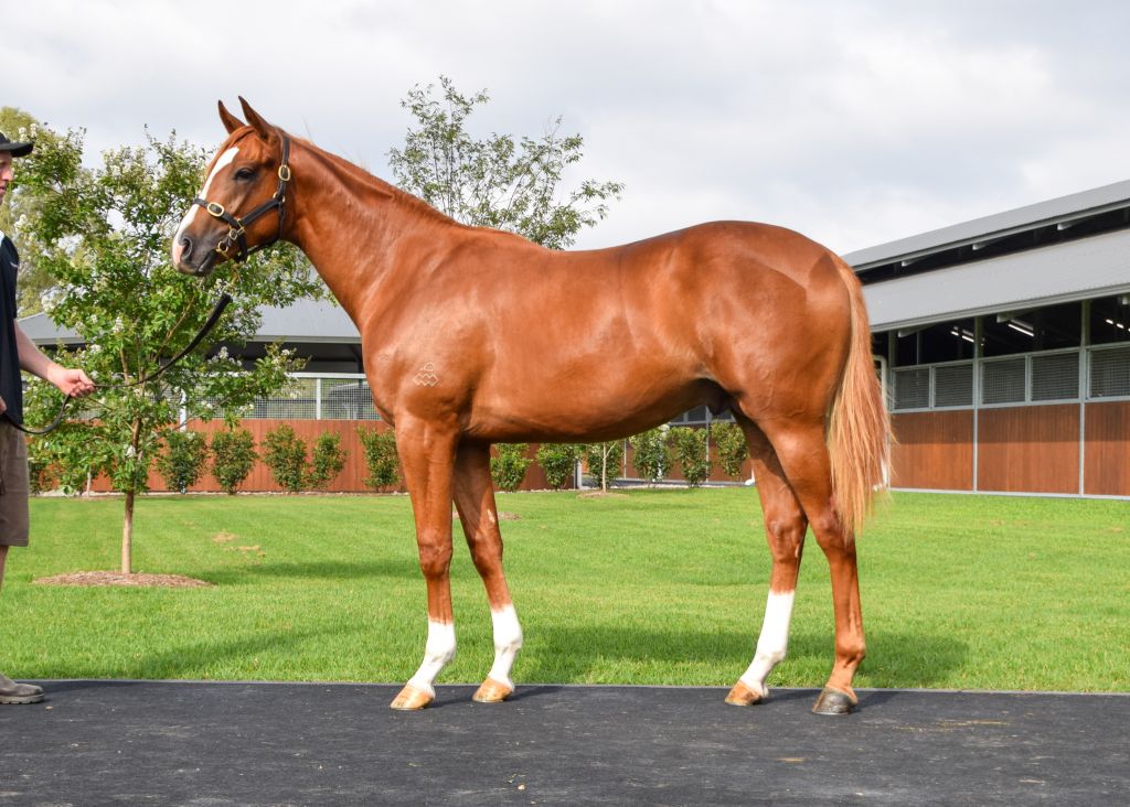 Click to view gallery