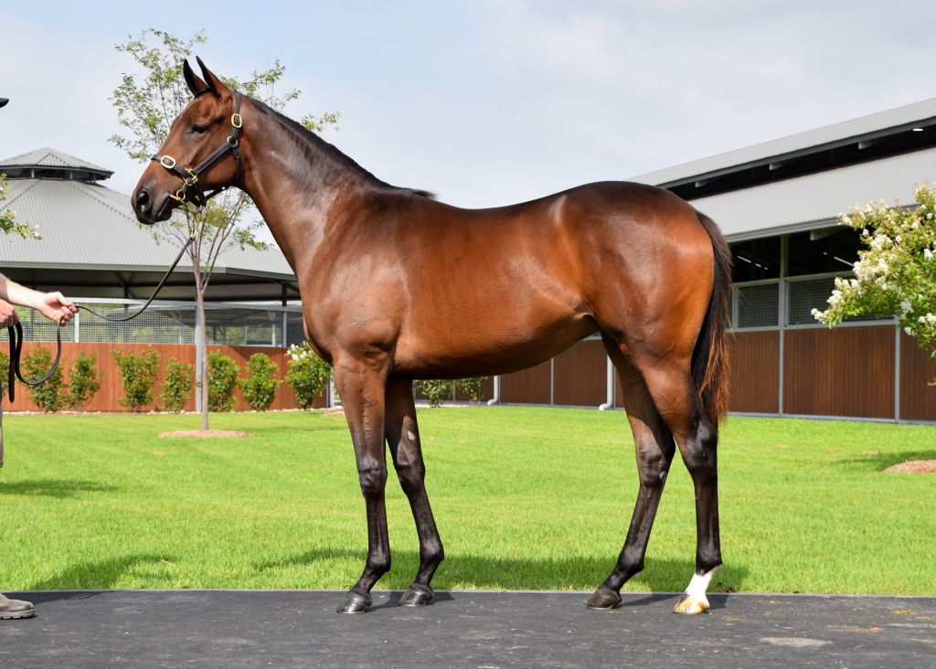 Click to view gallery