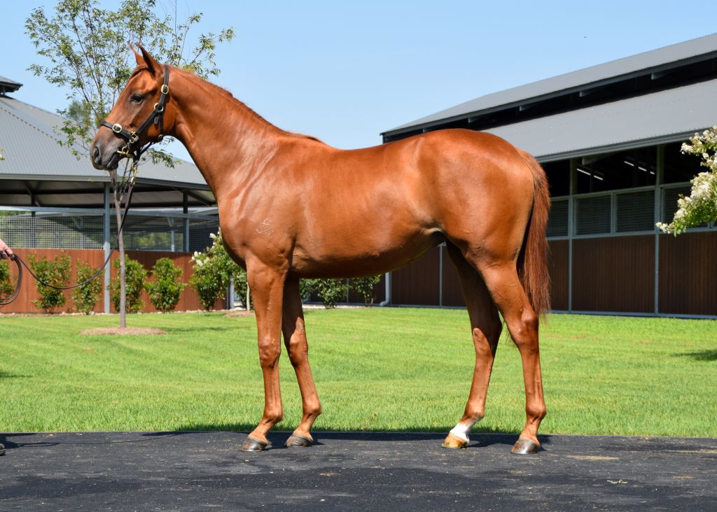 Click to view gallery