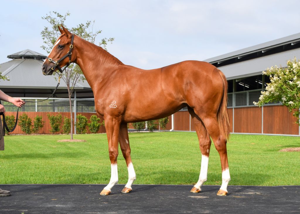 Click to view gallery