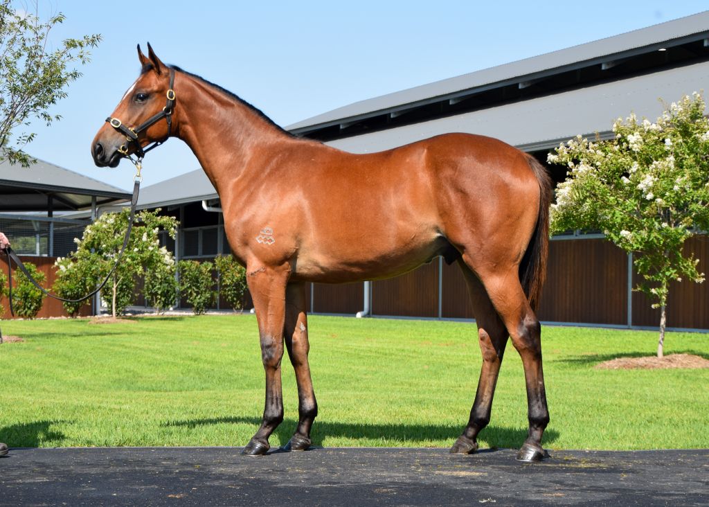 Click to view gallery