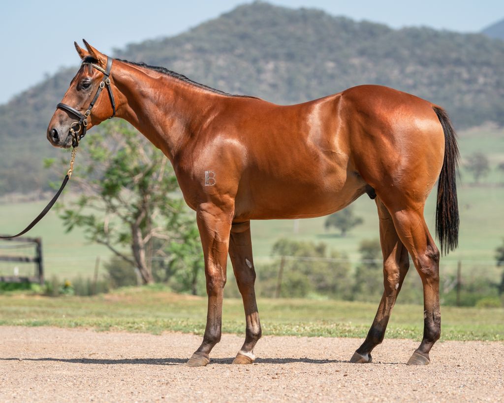 Click to view gallery