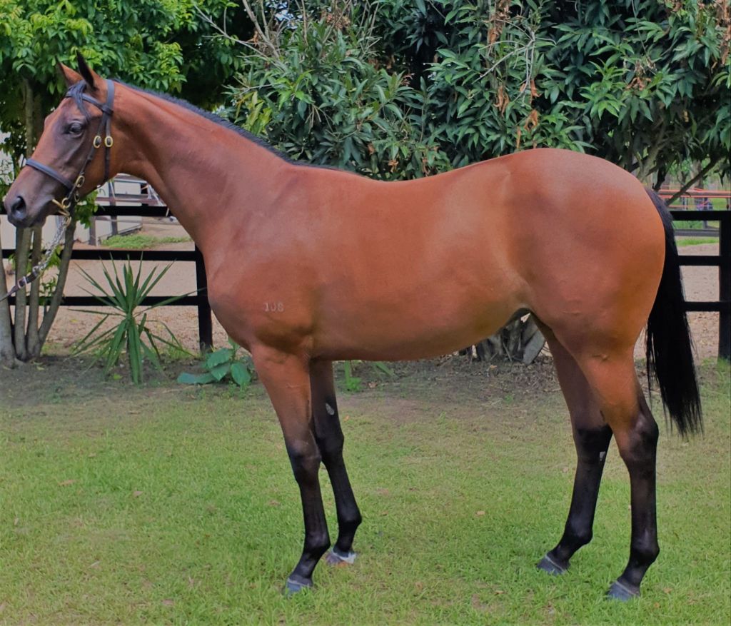 Click to view gallery