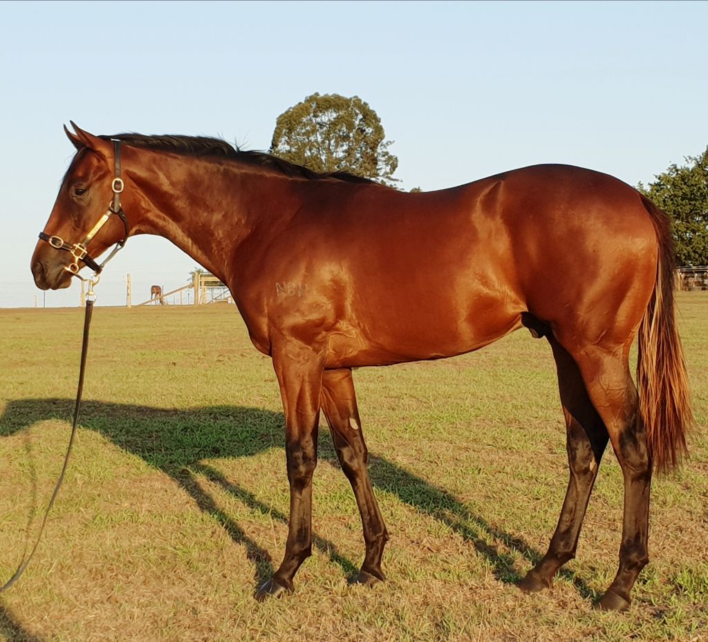 Click to view gallery