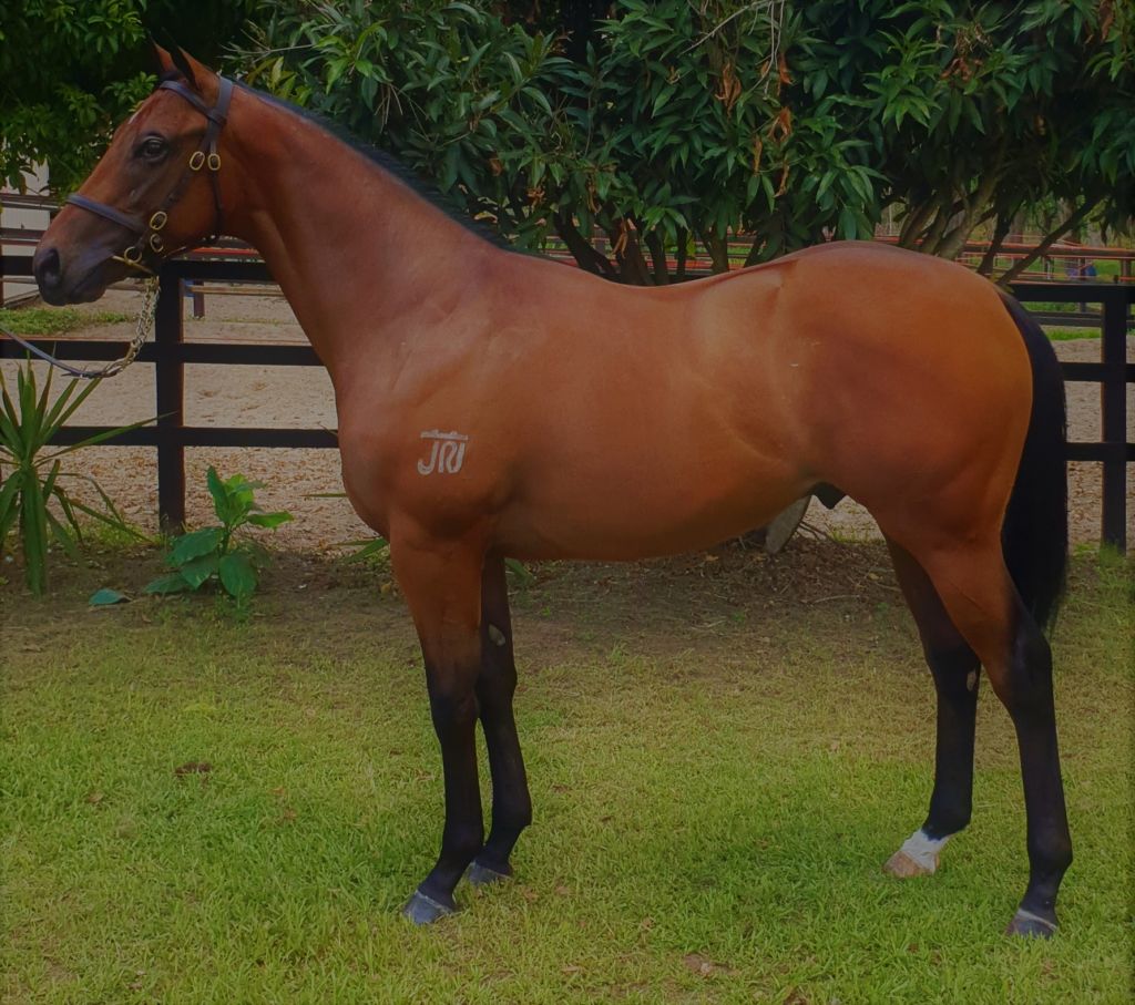 Click to view gallery