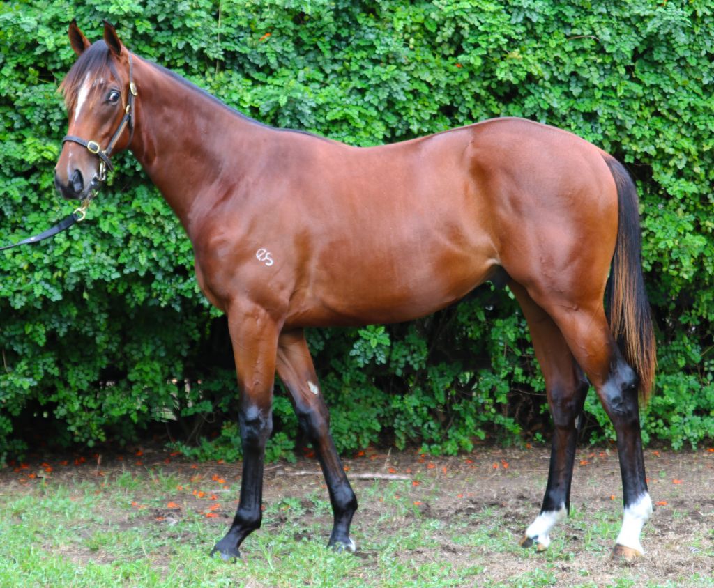 Click to view gallery