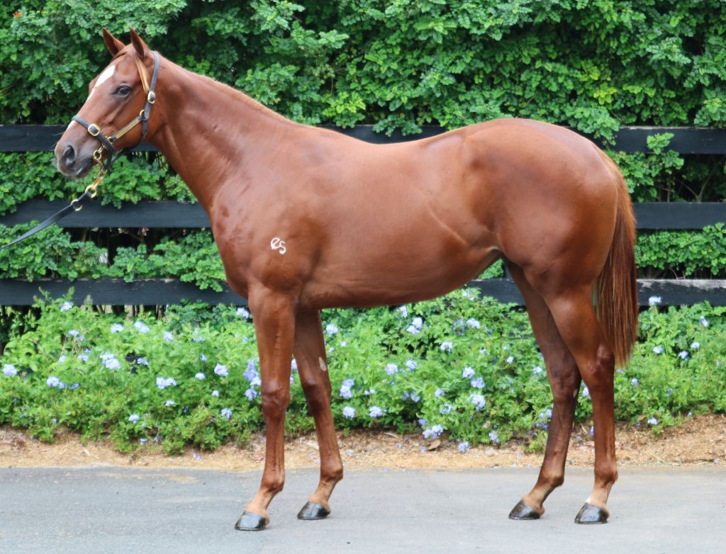 Click to view gallery