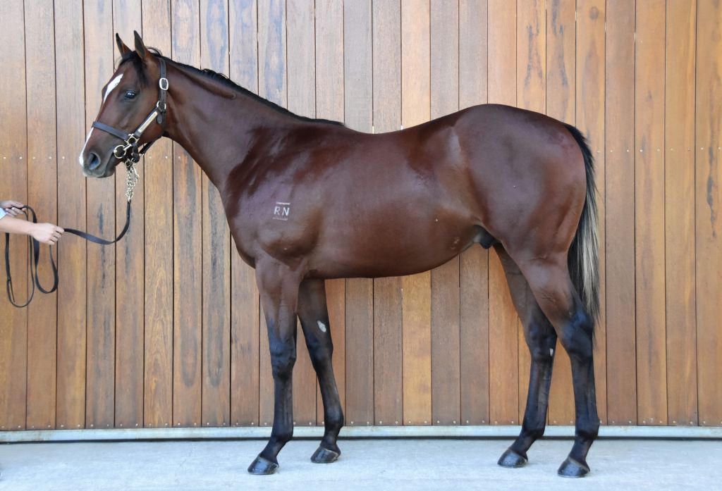 Click to view gallery