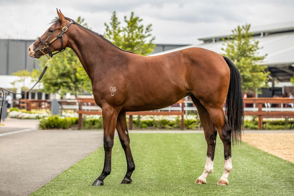 Click to view gallery