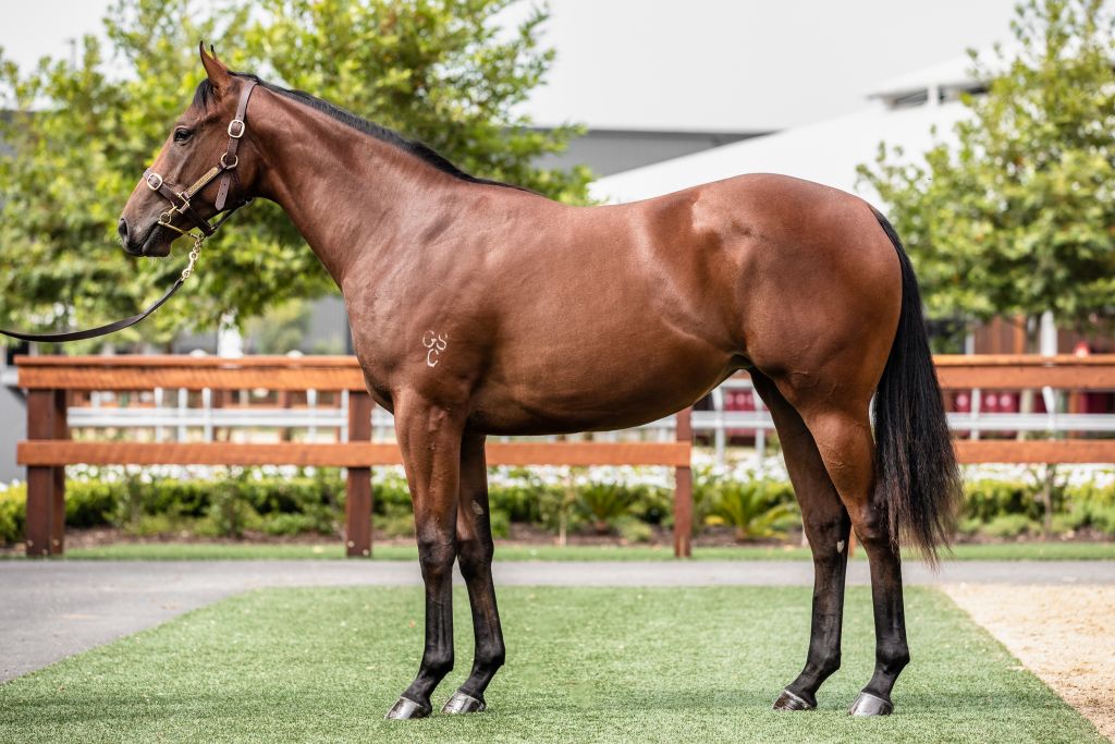 Click to view gallery