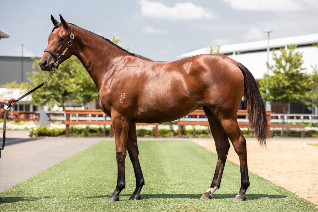 Click to view gallery