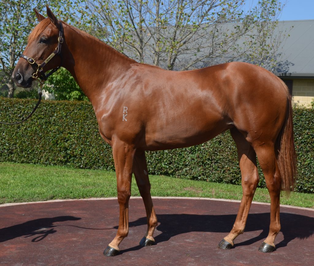 Click to view gallery