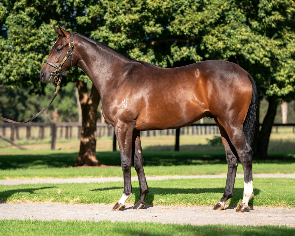 Click to view gallery