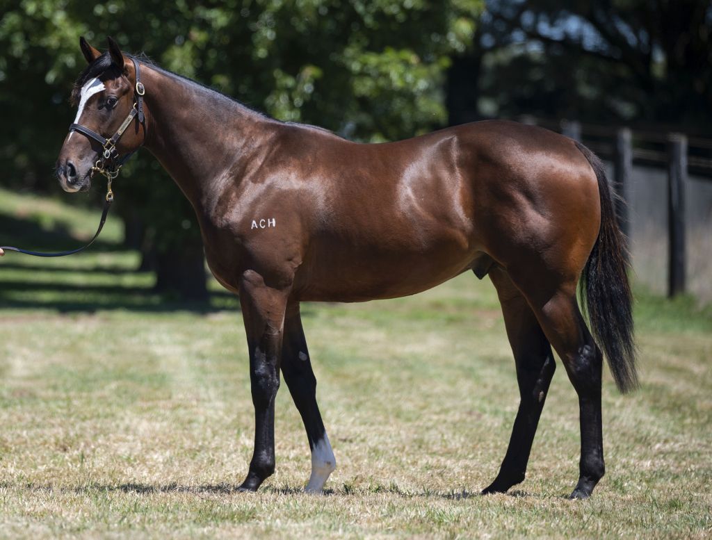 Click to view gallery