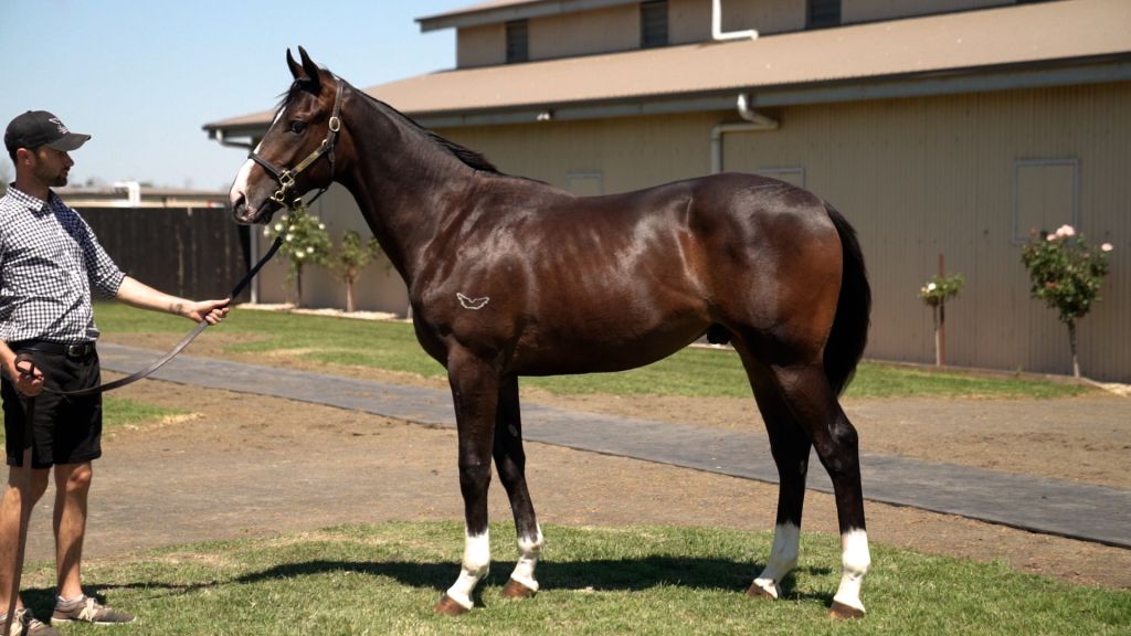 Click to view gallery