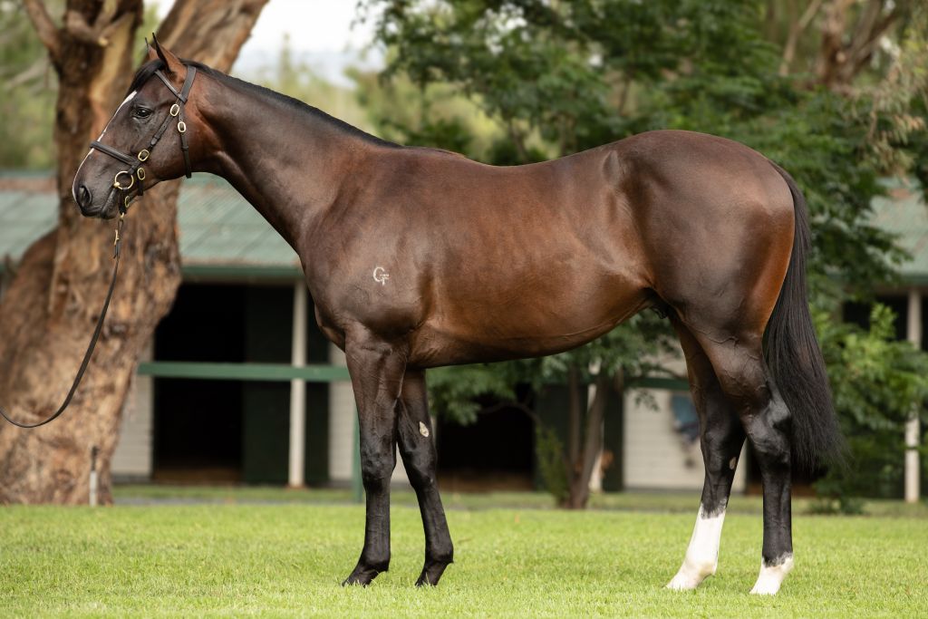 Click to view gallery