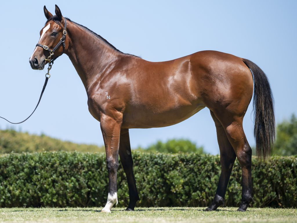 Click to view gallery