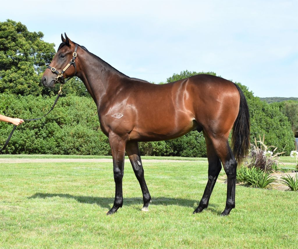 Click to view gallery