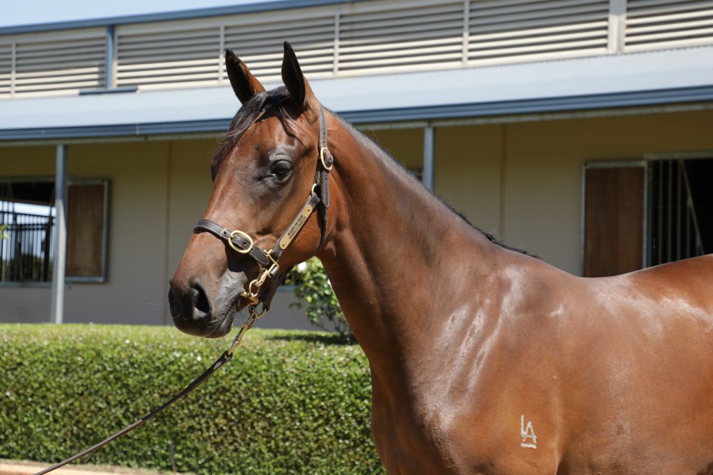 Click to view gallery