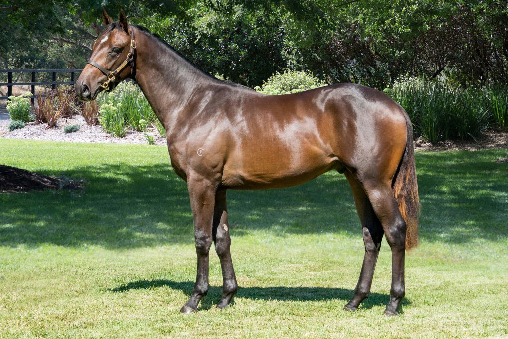 Click to view gallery