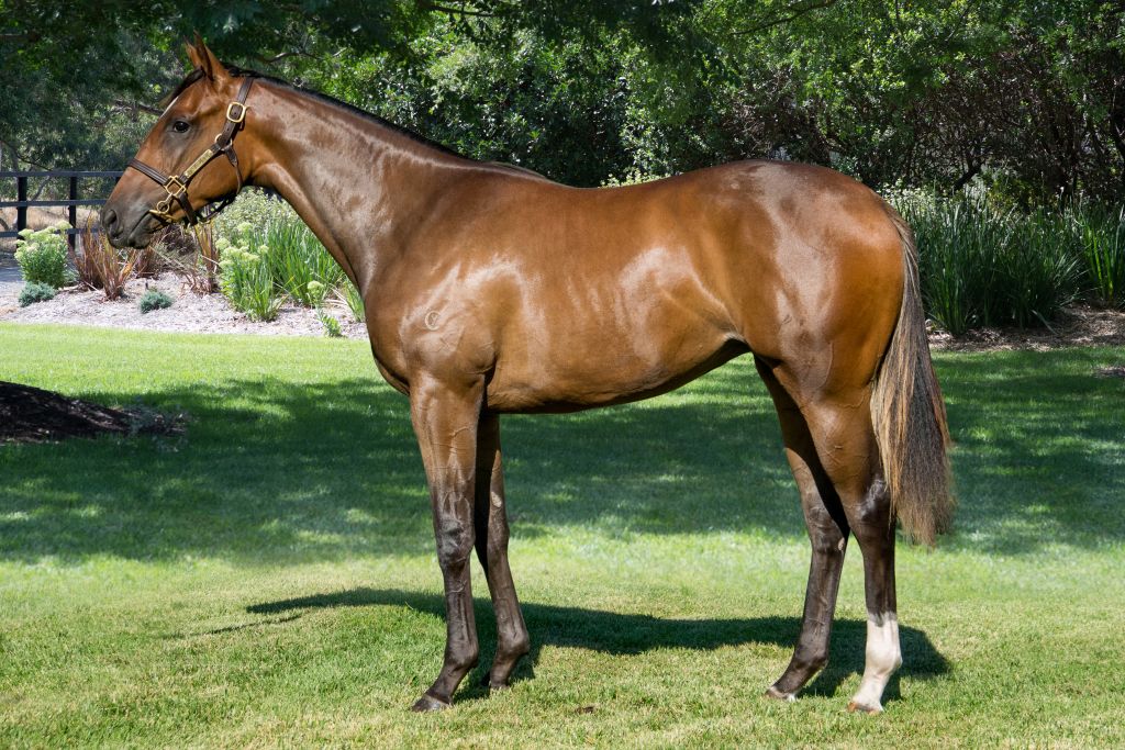 Click to view gallery