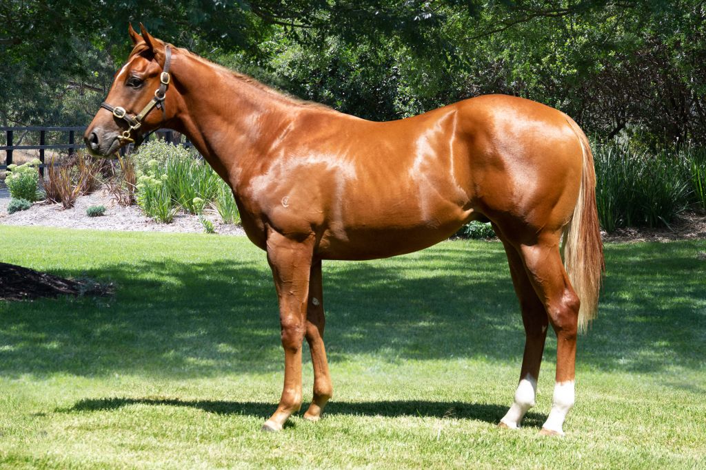 Click to view gallery