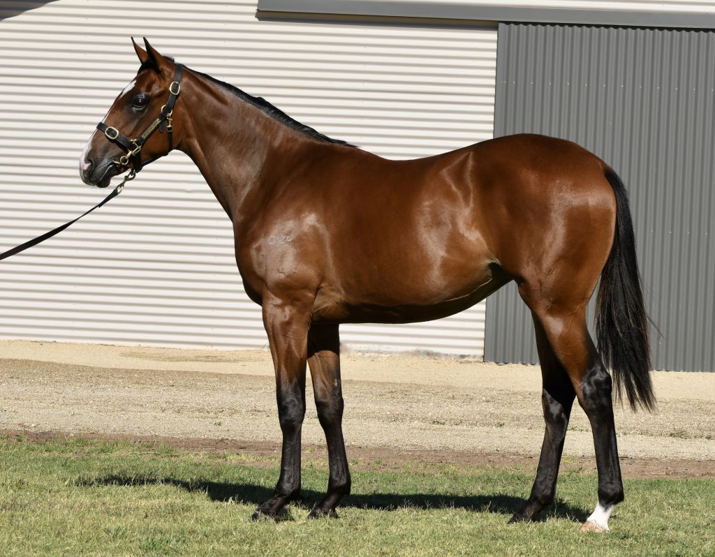 Click to view gallery