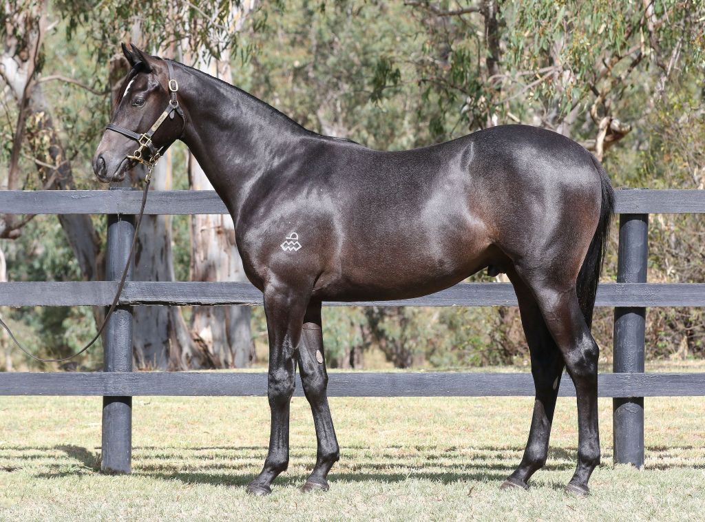 Click to view gallery