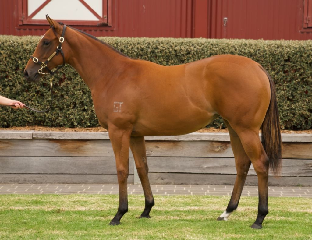 Click to view gallery